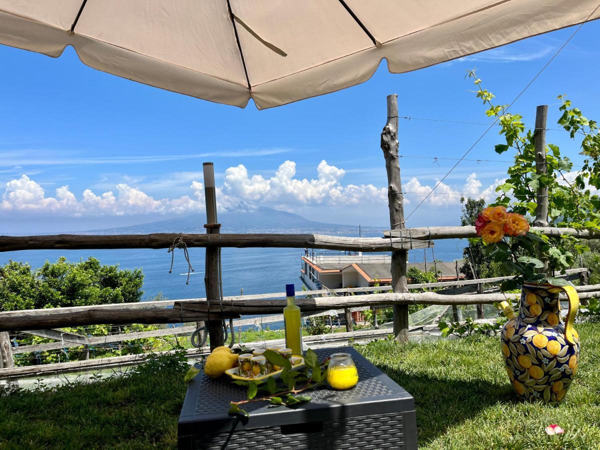 La Badia Montechiaro - Breathtaking View Of Sorrento Coast Vico Equense Exterior foto